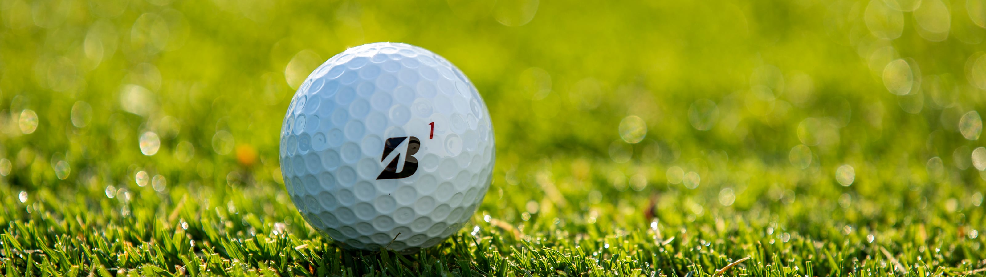 Golf Balls Engineered To Fit Your Play - Bridgestone Golf