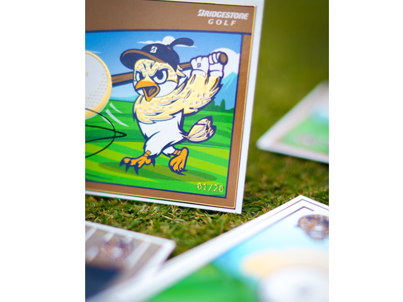 Quails Card Insert 1G number