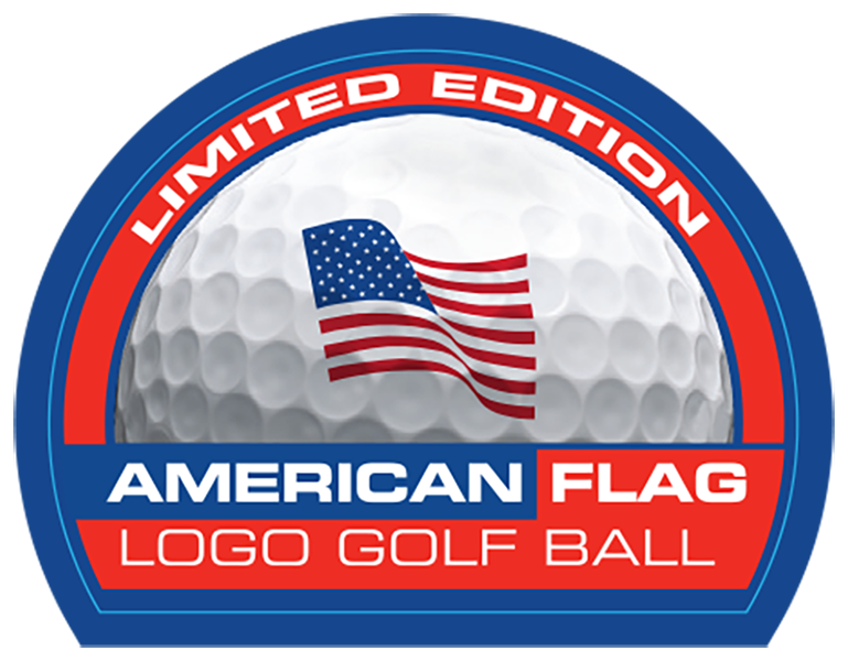 USA FLAG LOGO